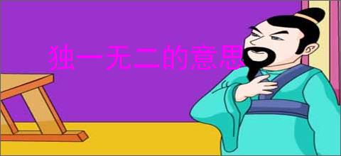 独一无二的意思