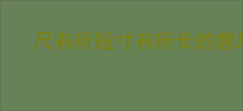 尺有所短寸有所长的意思