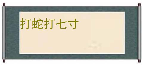 打蛇打七寸