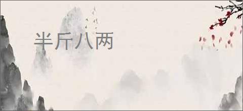 半斤八两