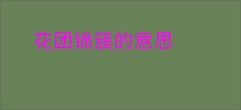 花团锦簇的意思