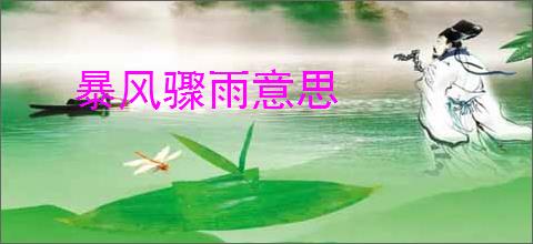 暴风骤雨意思