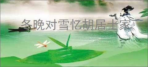 冬晚对雪忆胡居士家