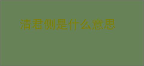 清君侧是什么意思
