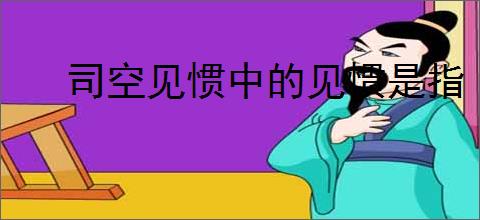 司空见惯中的见惯是指