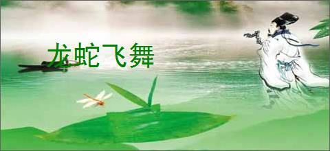 龙蛇飞舞