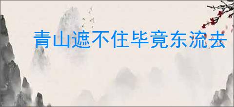 青山遮不住毕竟东流去