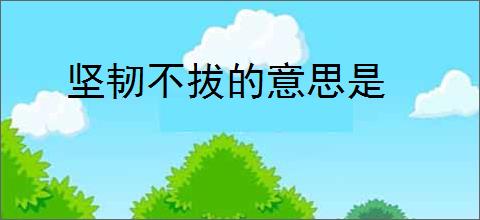 坚韧不拔的意思是