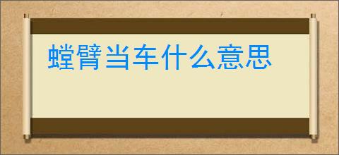 螳臂当车什么意思