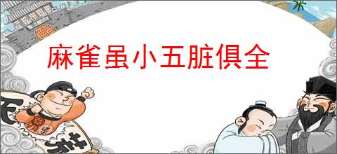 麻雀虽小五脏俱全