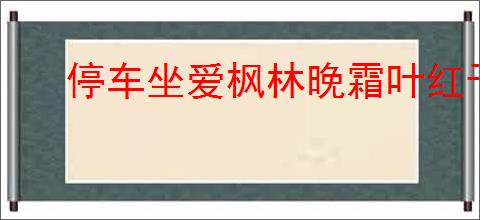停车坐爱枫林晚霜叶红于二月花